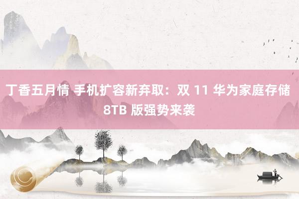 丁香五月情 手机扩容新弃取：双 11 华为家庭存储 8TB 版强势来袭